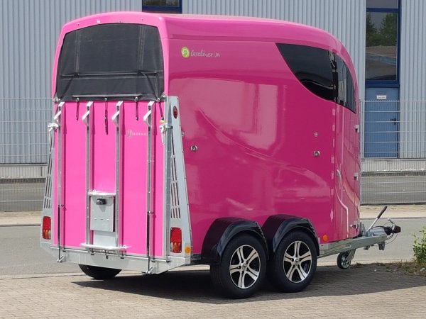 Careliner M in pink mit Panoramadach, 2. Innenleuchte LED, Bruststangenzusatzpolster, Netzrollo und Alufelgen (black/silver)