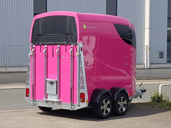 Careliner M in pink mit Panoramadach, 2. Innenleuchte LED, Bruststangenzusatzpolster, Netzrollo und Alufelgen (black/silver)