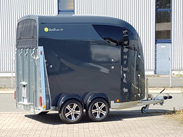 Careliner M grey/grey mit Panoramadach, Boxenstangenzusatzpolster, Netzlift, 2. Innenleuchte LED, Sattelablagestange und Alufelgen (black/silver)